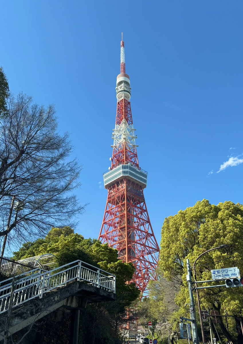 KNしょーじろー🇬🇧 tweet media