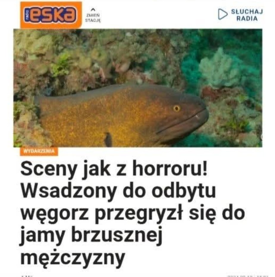 Krzysztof Nowok tweet media