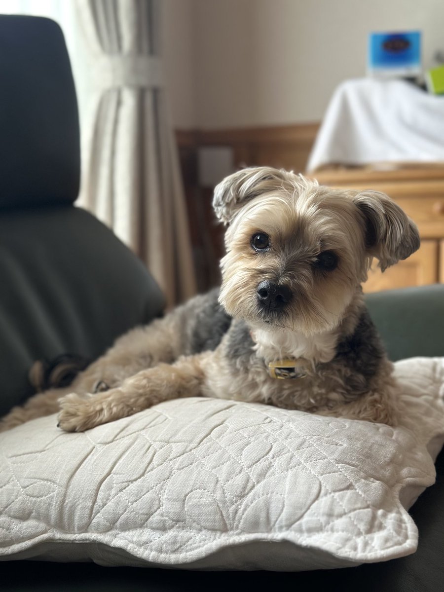 らっちゃんズ tweet media