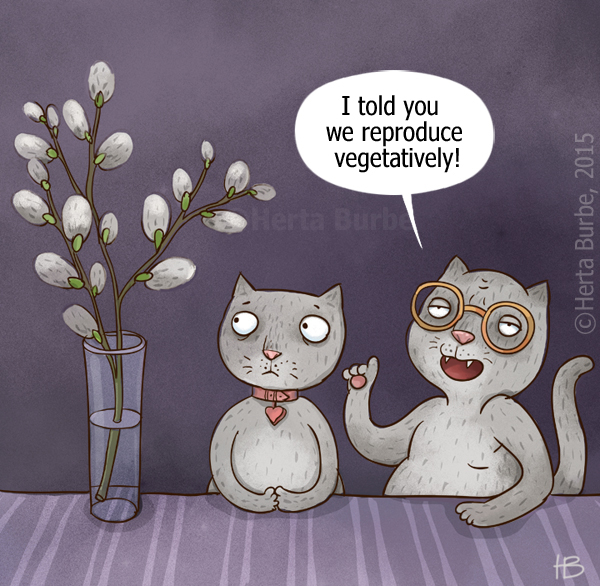 Herta Burbe tweet media