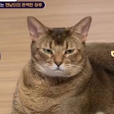 หนูเจ้ย tweet media