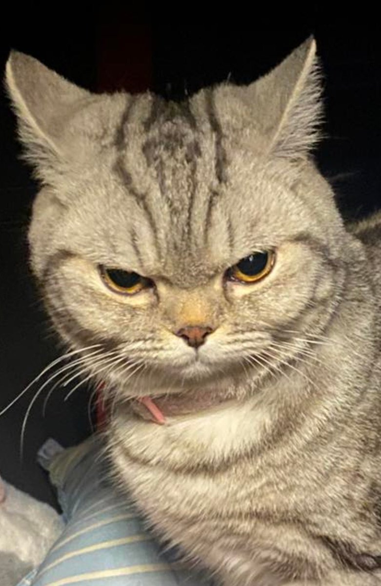 หนูเจ้ย tweet media