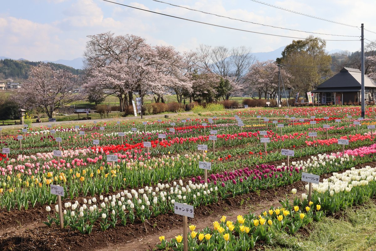 大分県 豊後大野市 tweet media