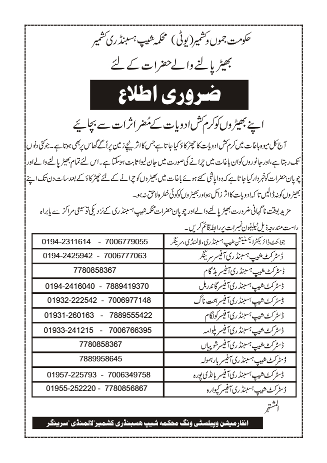 Directorate Of Sheep Husbandry Kashmir tweet media
