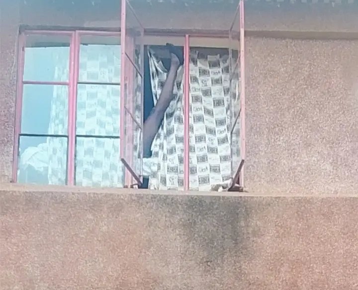 Narrowbeefly tweet media