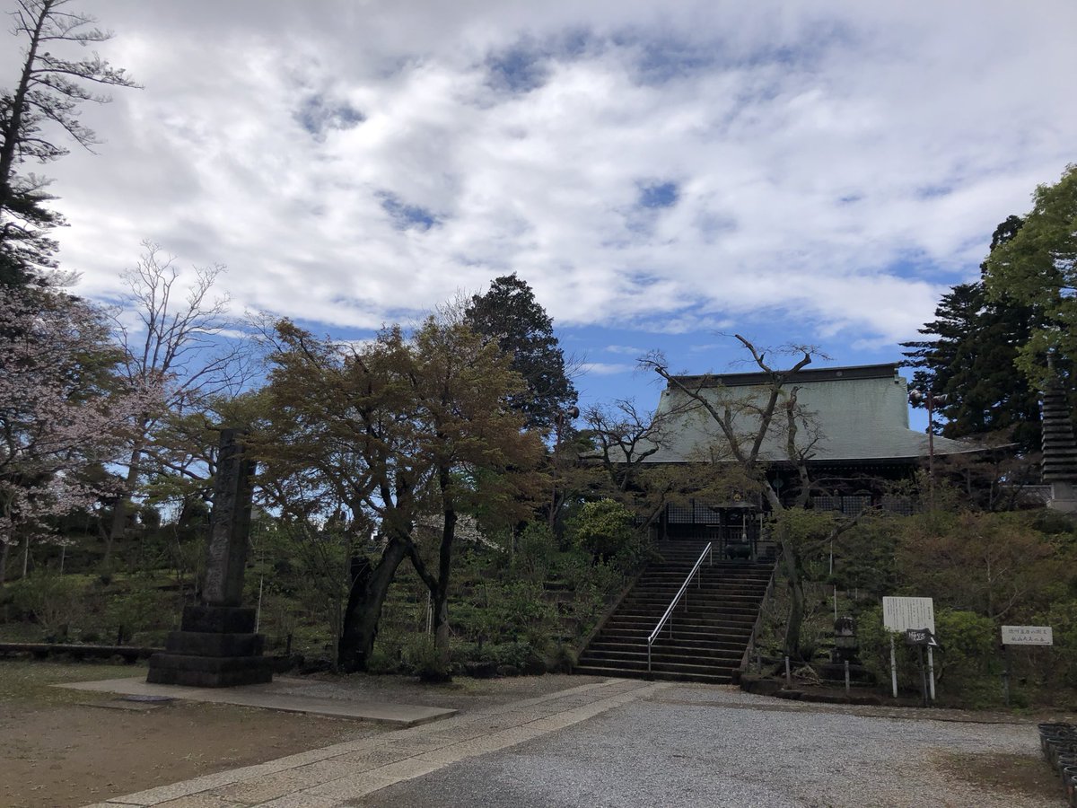 Alicein2024's tweet photo. 今日千葉県のあるお寺へ行きました。
静か好き、とても好き。
桜🌸も満開🌸
1時間ぐらい散歩しました。 https://t.co/1NuNhjjkXO