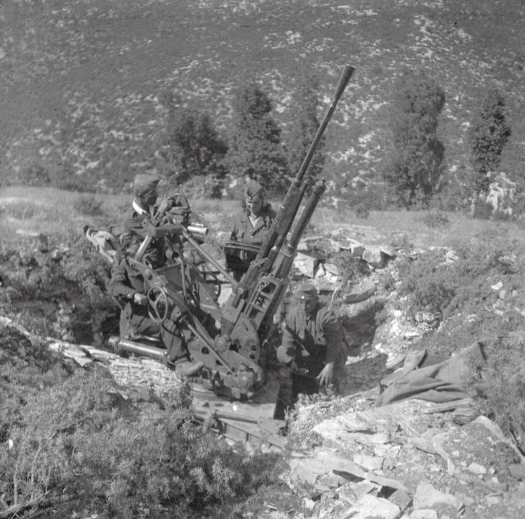 OPPORTUNISM tweet media