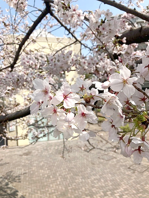 菊水電子工業株式会社 tweet media