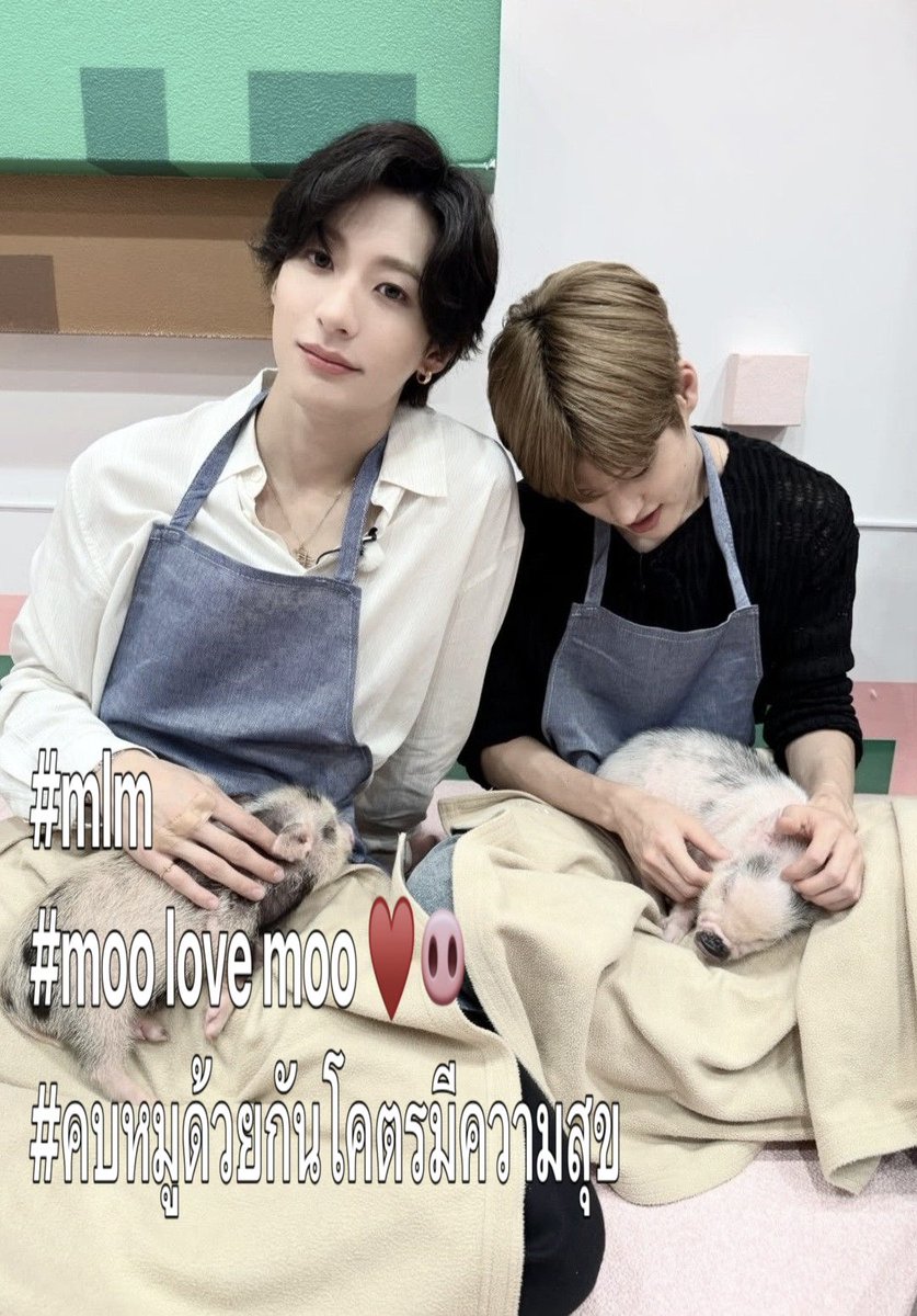 เต้จัง tweet media