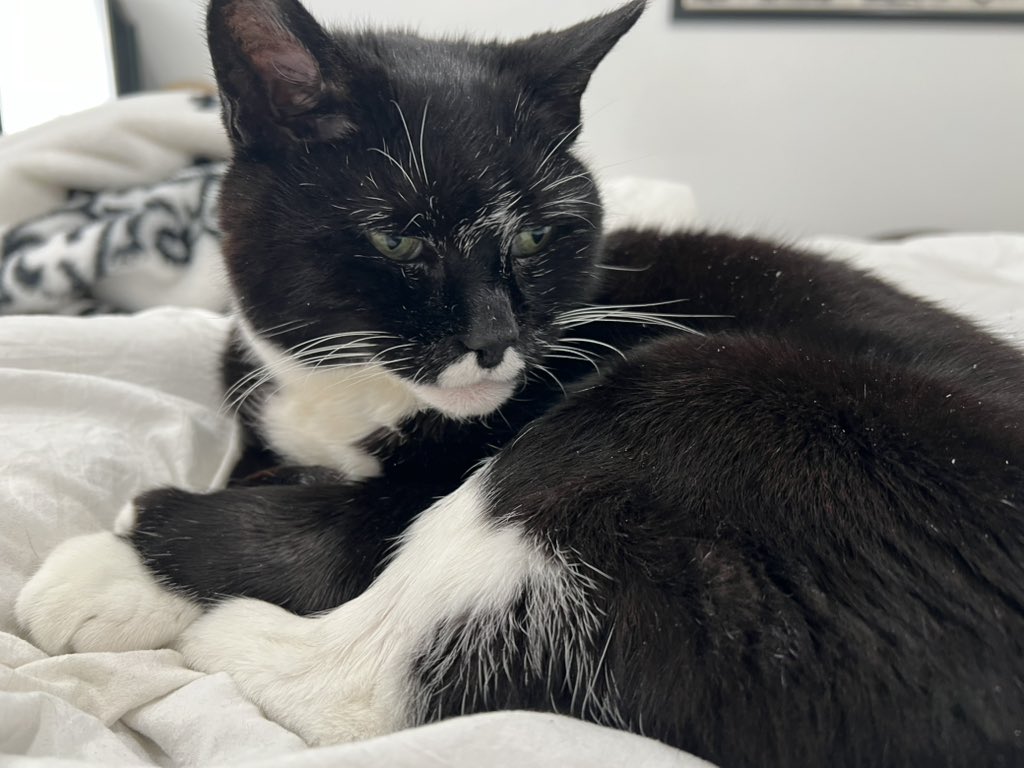 Rachel Corsini tweet media