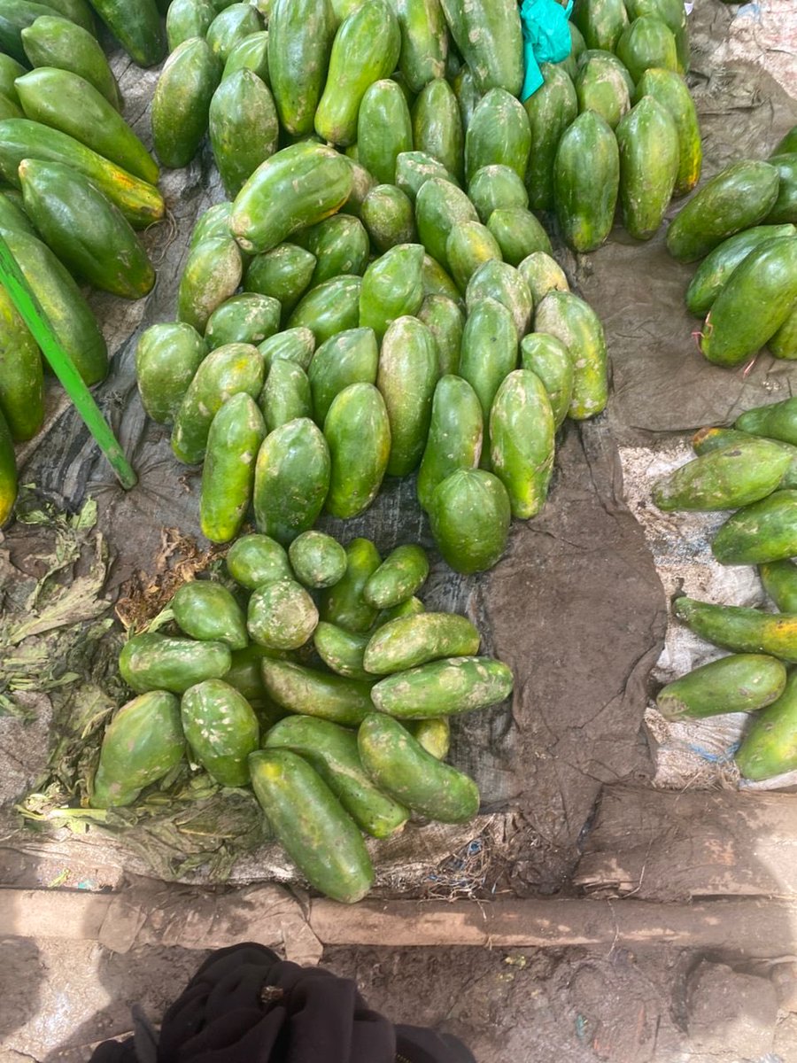 Namulinde Dagan tweet media