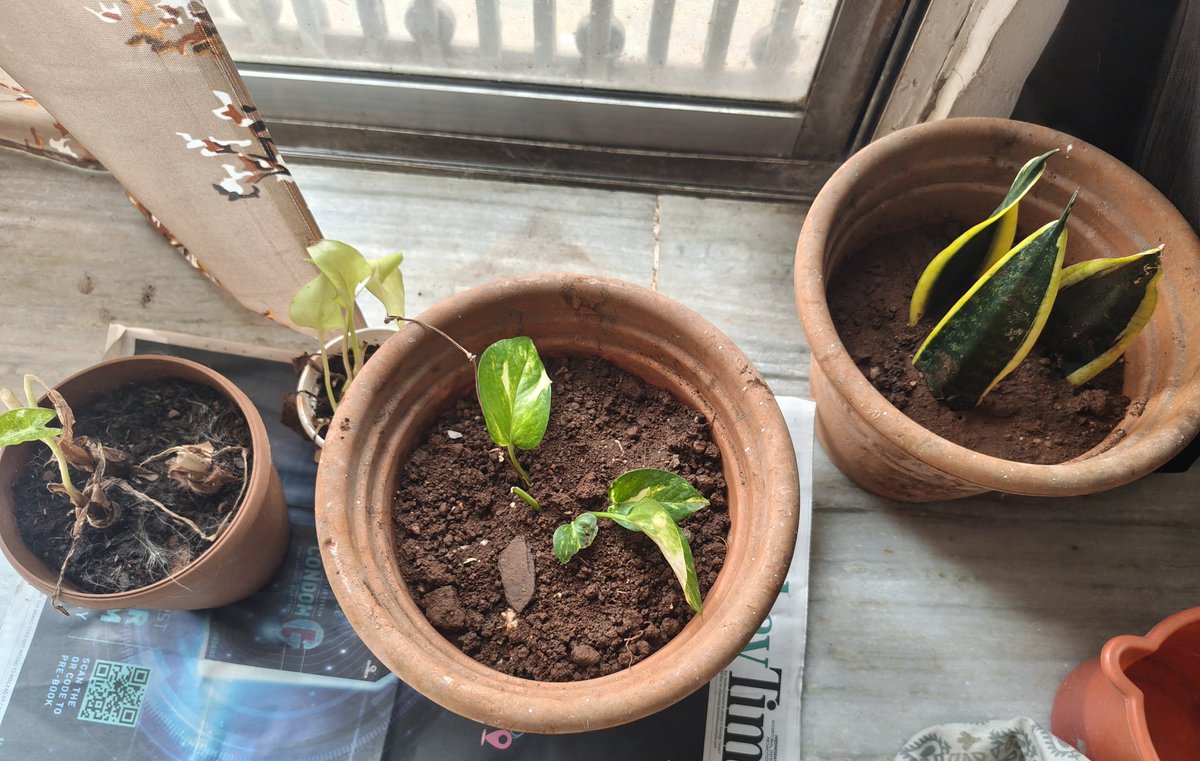 Vinod  Chendhil tweet media