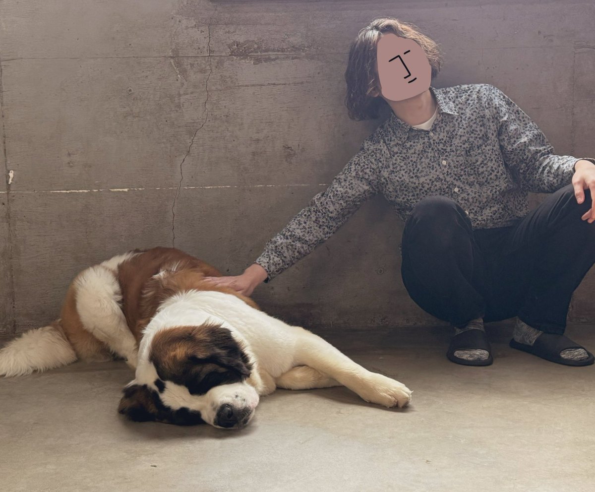 ヨシダ tweet media