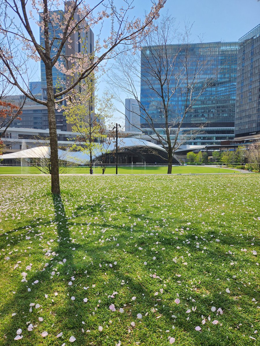 グラングリーン大阪(GRAND GREEN OSAKA)【公式】 tweet media