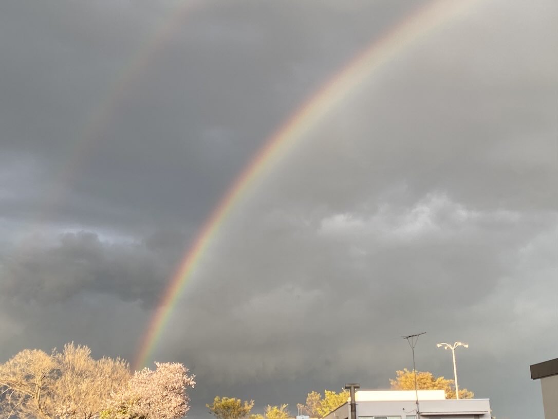 たごさく tweet media