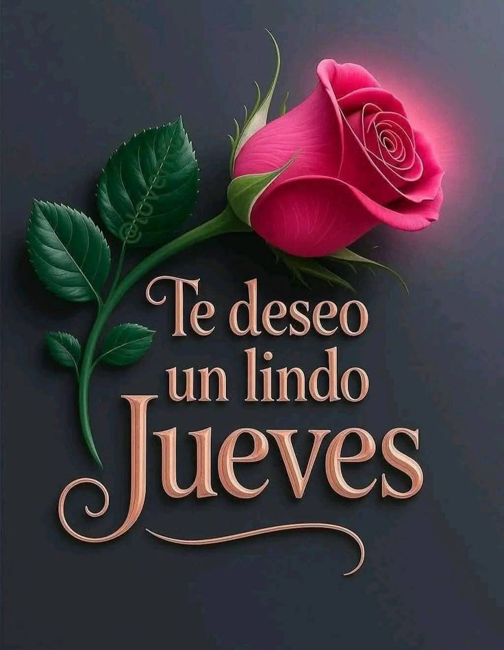 Celia (nueva cuenta) tweet media