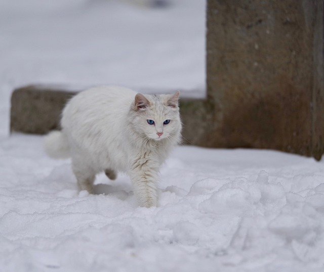 Eric Biggs tweet media