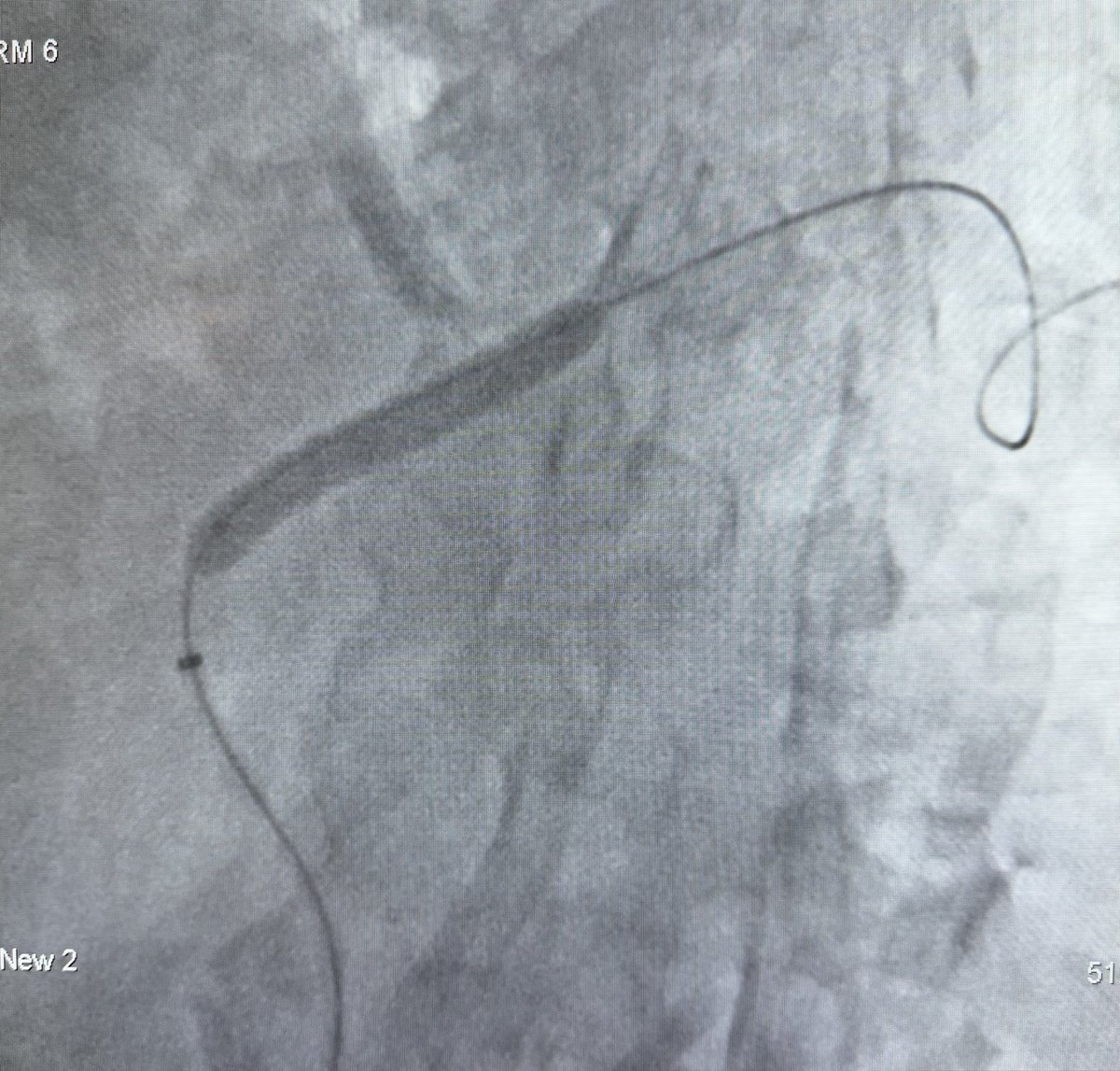 Prof Ramesh K Tripathi tweet media