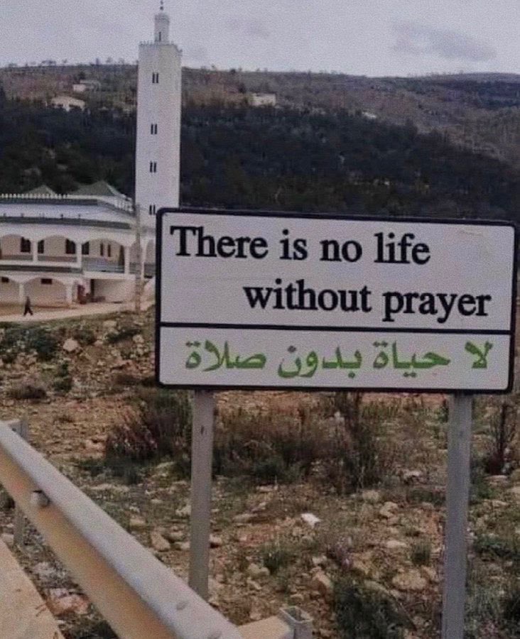 MuslimMatters (@muslimsmatters) on Twitter photo 