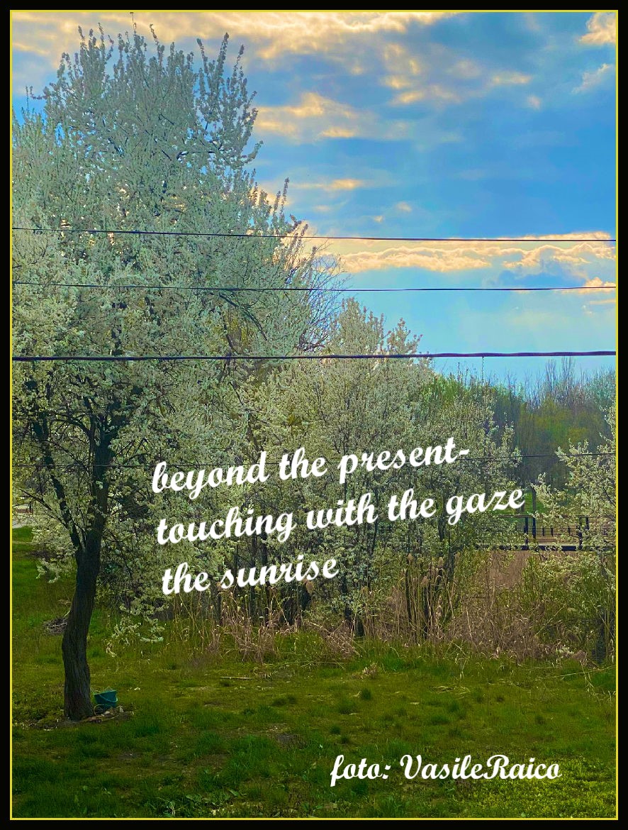 haiga/v12

dincolo de prezent-
atingând cu privirea
răsăritul