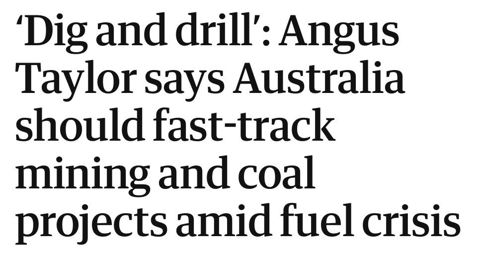 Adam Nicotera tweet media