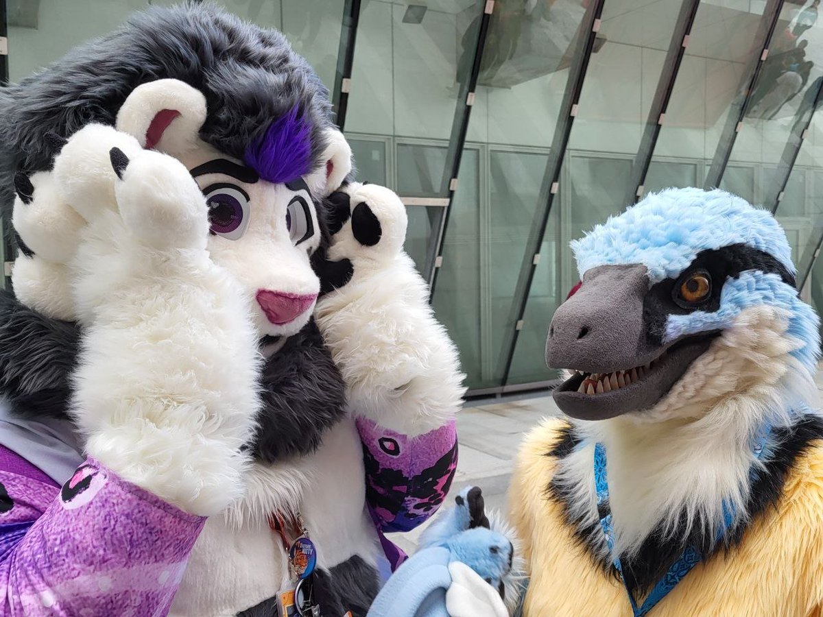 Je serai à la #fauntastic6 🌌 

N'hésitez pas à venir me saluer , je vous filerai un sticker !😺 

Important : En stream et sur scène, je suis très extraverti mais en personne je suis très introverti ! 🙏 

C'est parfois difficile pour moi de tenir une longue discussion 😿