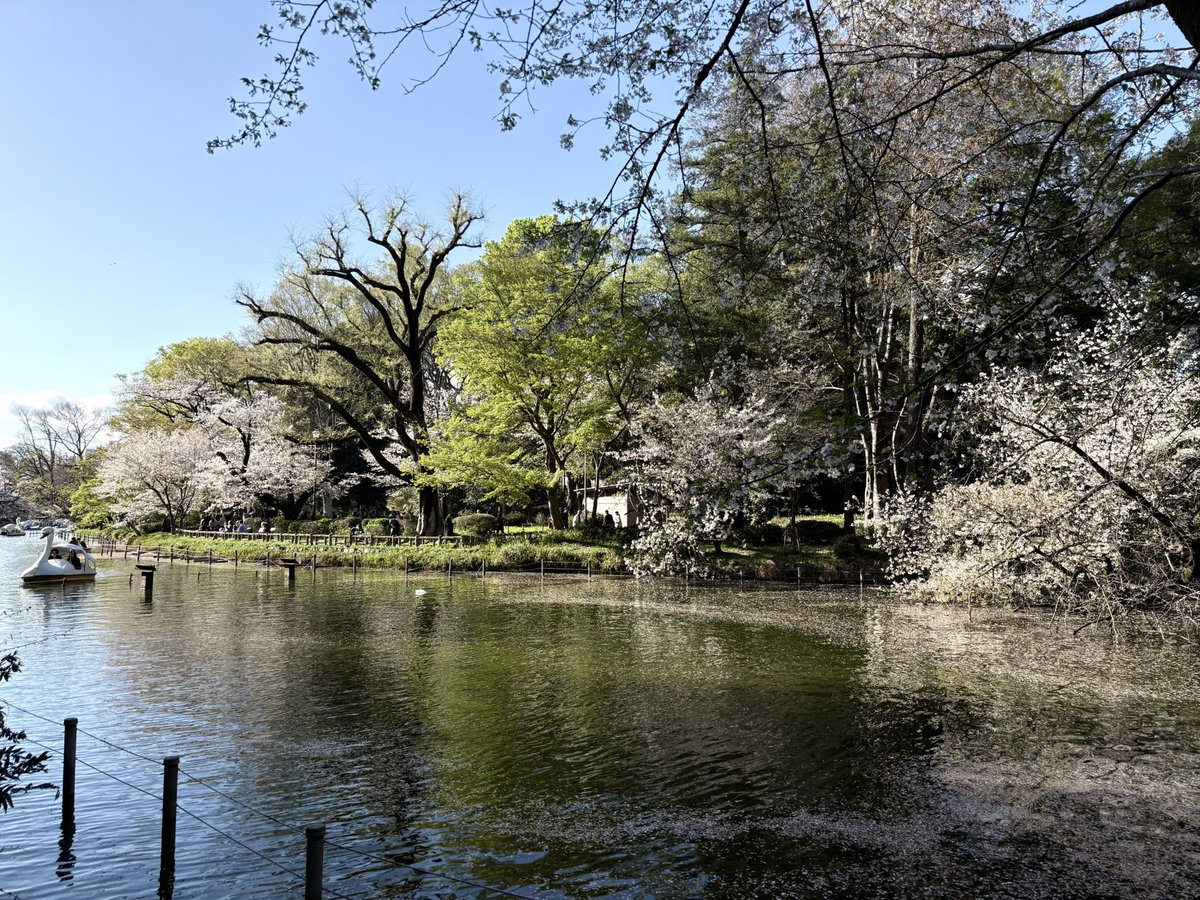 イケダ tweet media