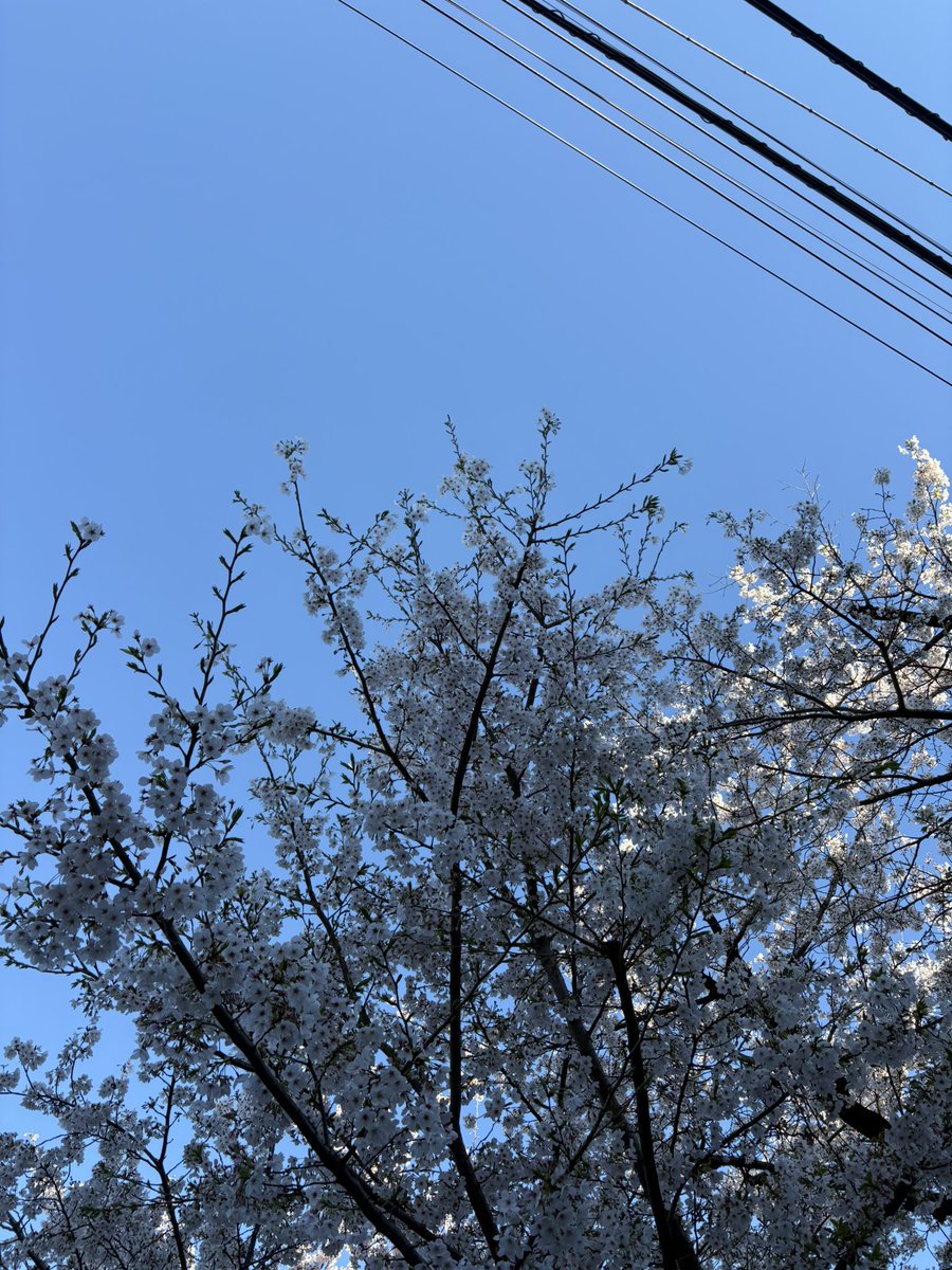 やどかり tweet media