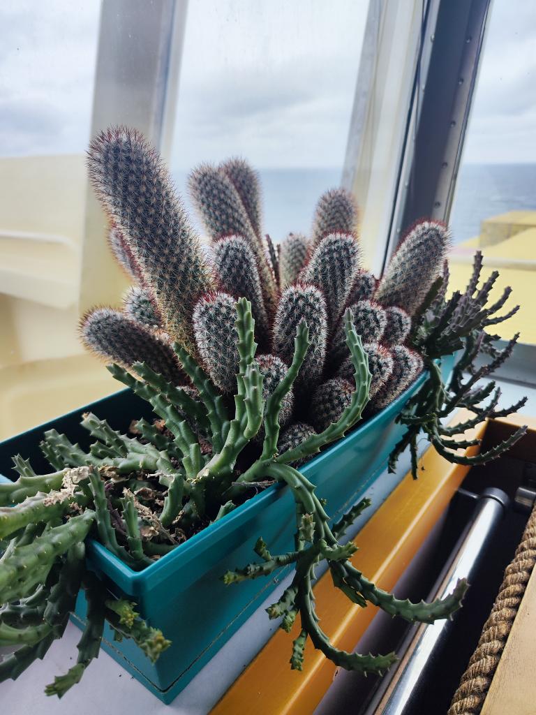 Thirdy ⚓ tweet media