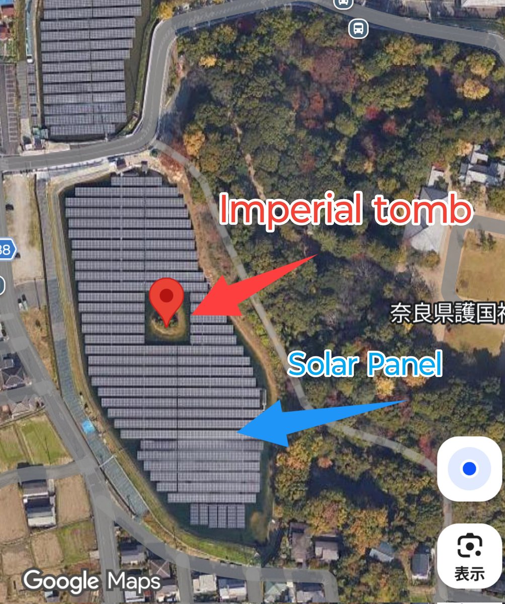 ぴろん🌸 tweet media