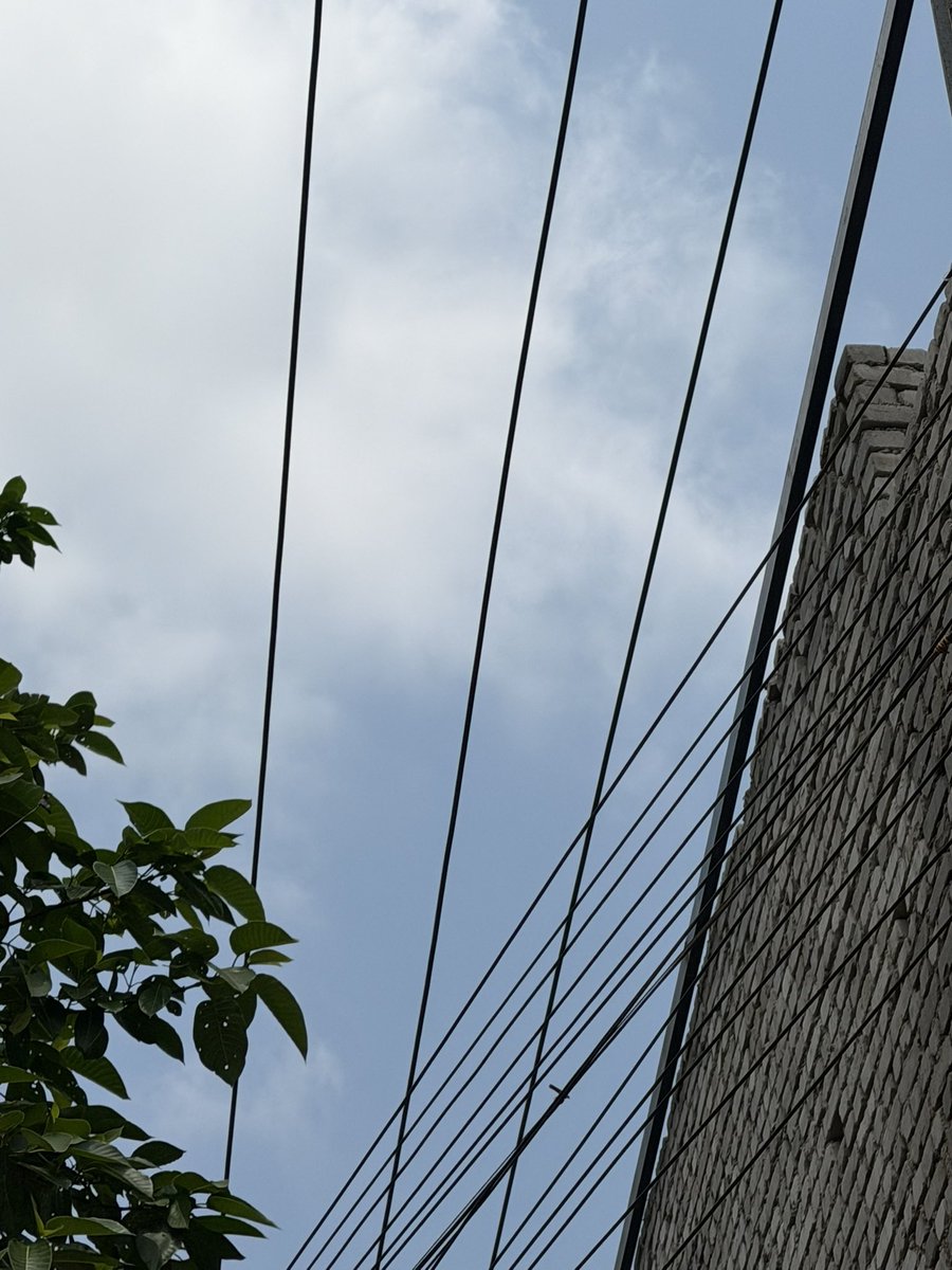 ktpanda123's tweet photo. @TPCentralOdisha Waiting for the resolution as it’s a risk to the lives of people and Kalyan mandap is coming with this type of electric pole with 11KV overhead line we are inviting trouble and waiting for an accident to occur requesting CMO to intervene @CMO_Odisha @otvnews https://t.co/Kd7vtXfxP8