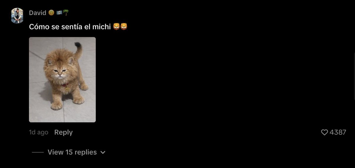 The Quantski tweet media