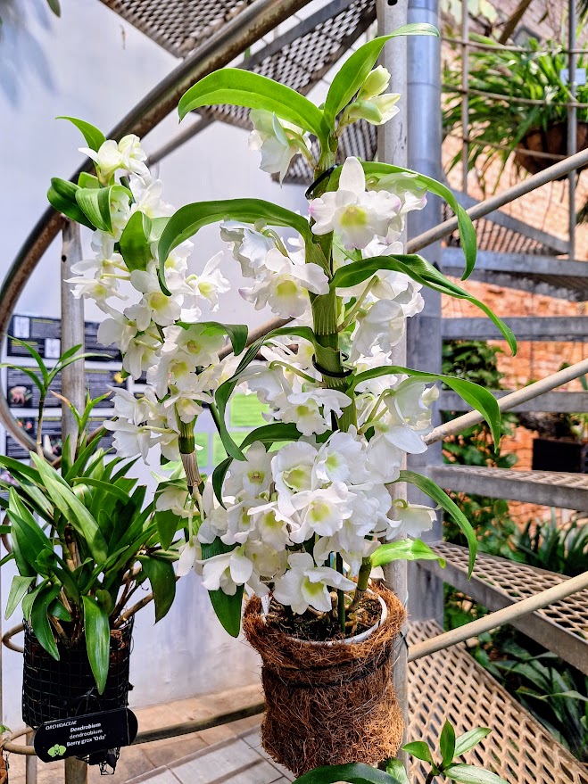 A. L . I. A tweet media