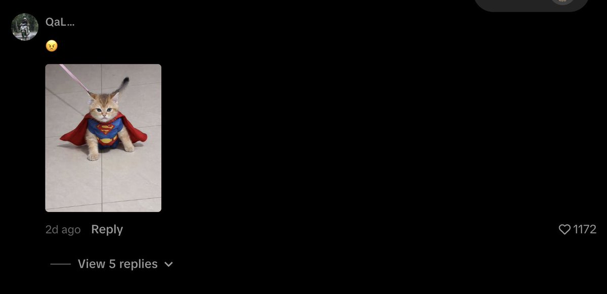 The Quantski tweet media