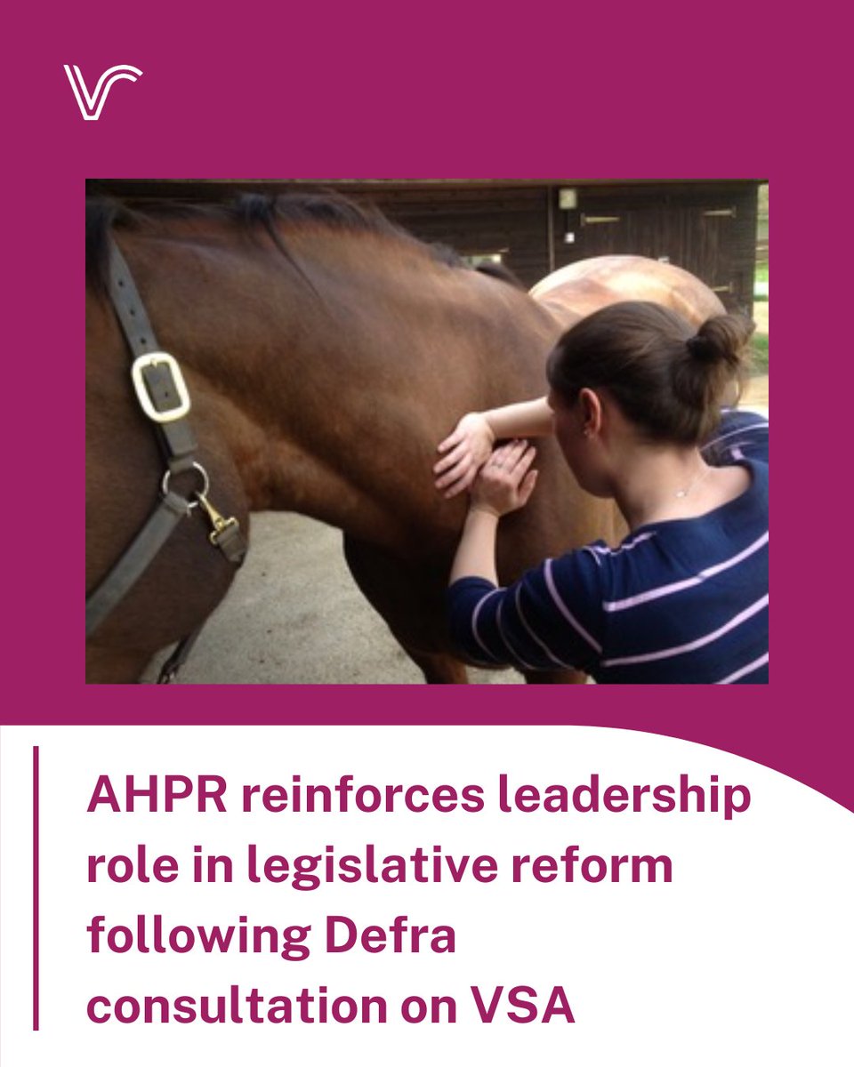 Vet Report tweet media