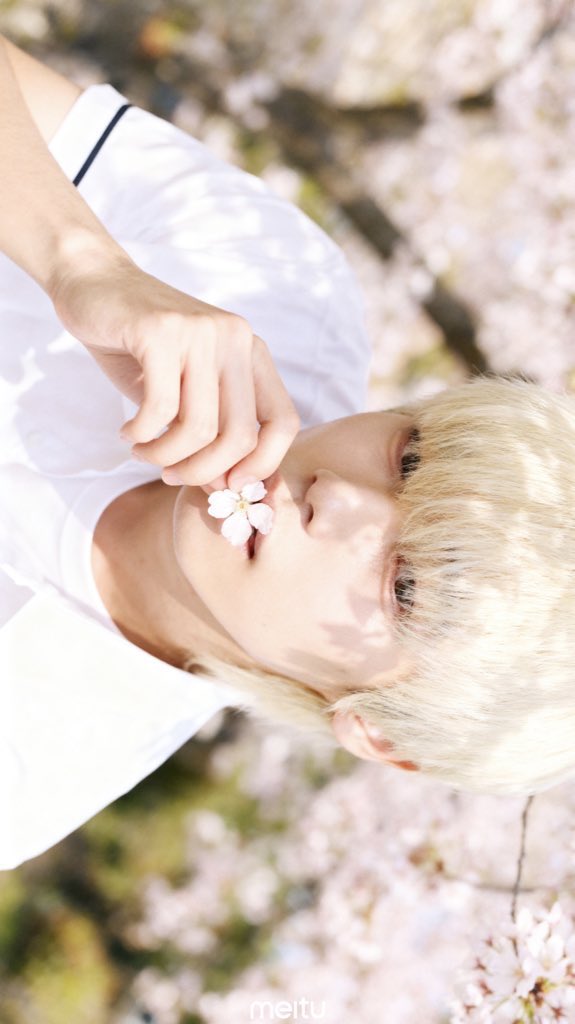 복실러 tweet media