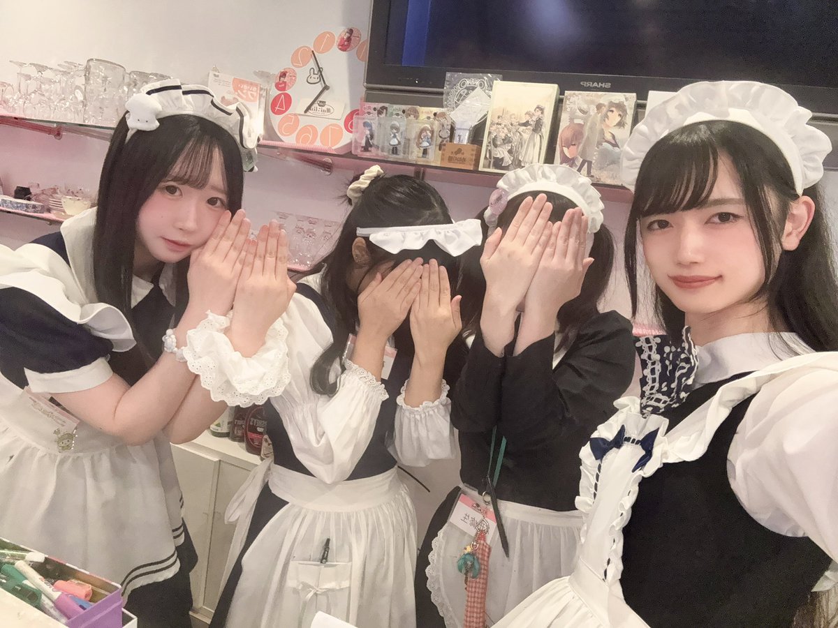 メイリッシュ tweet media