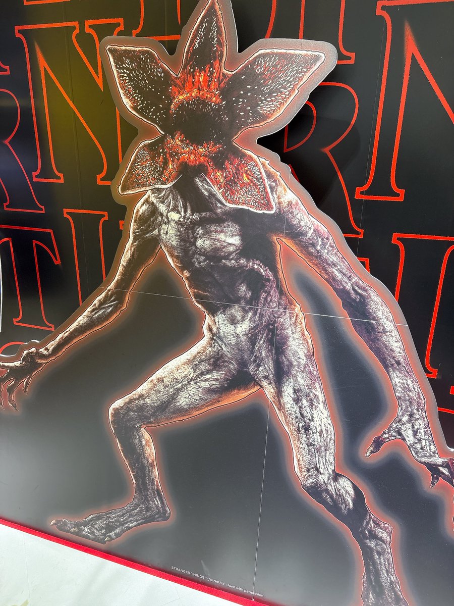 リコ⭕️ tweet media