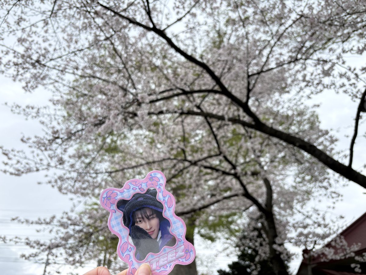 ichica♛ tweet media