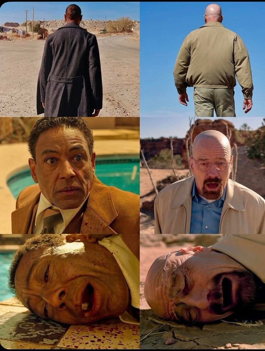 Ramin Nasibov tweet media