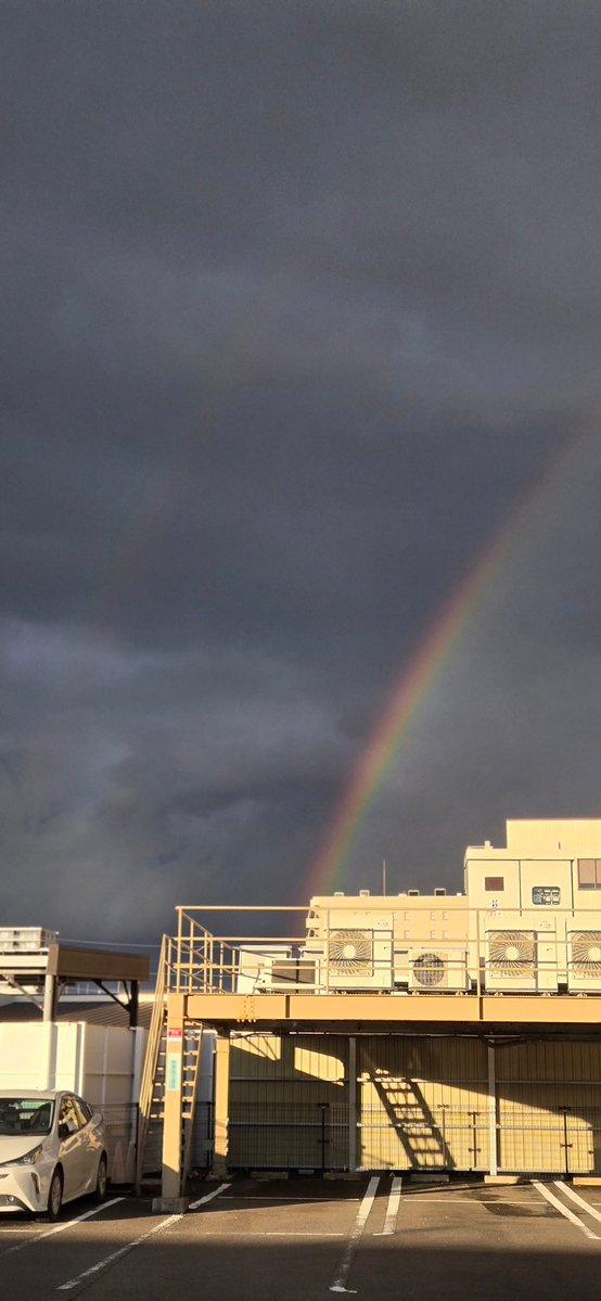 🍀フェイト🕊‎ tweet media