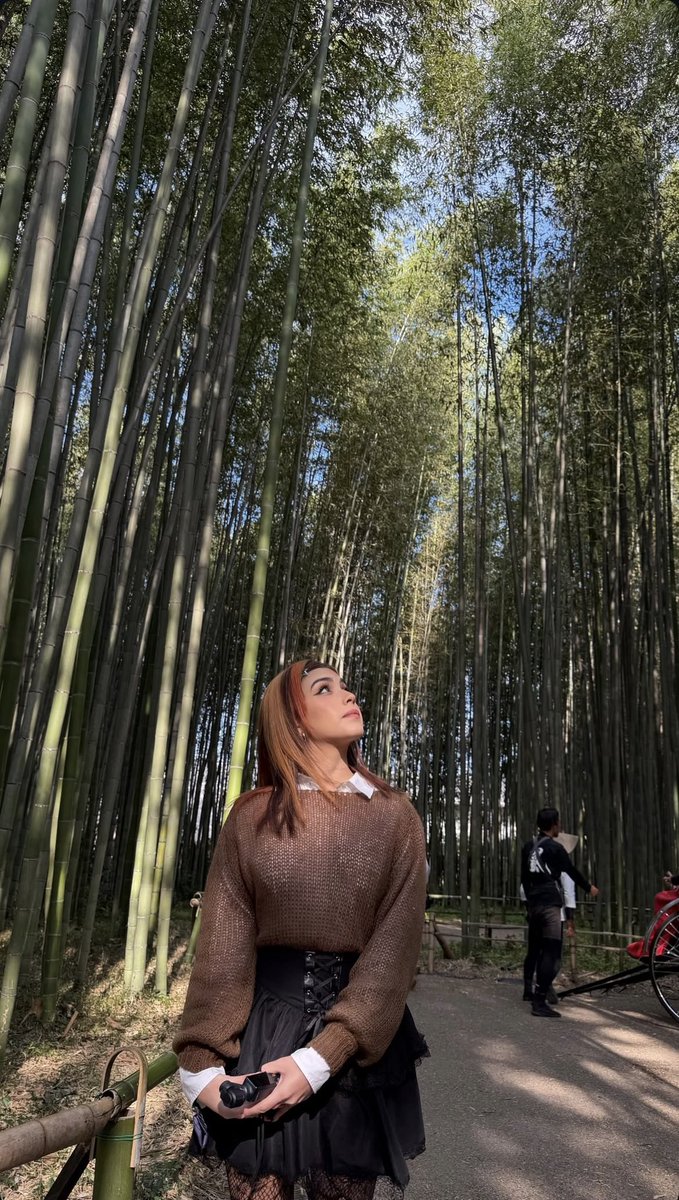 Info Gab tweet media