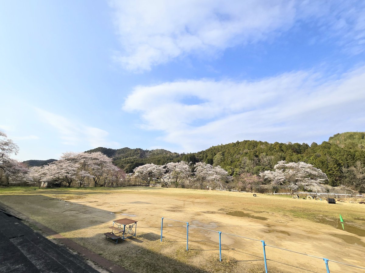 絵本ちゃん tweet media