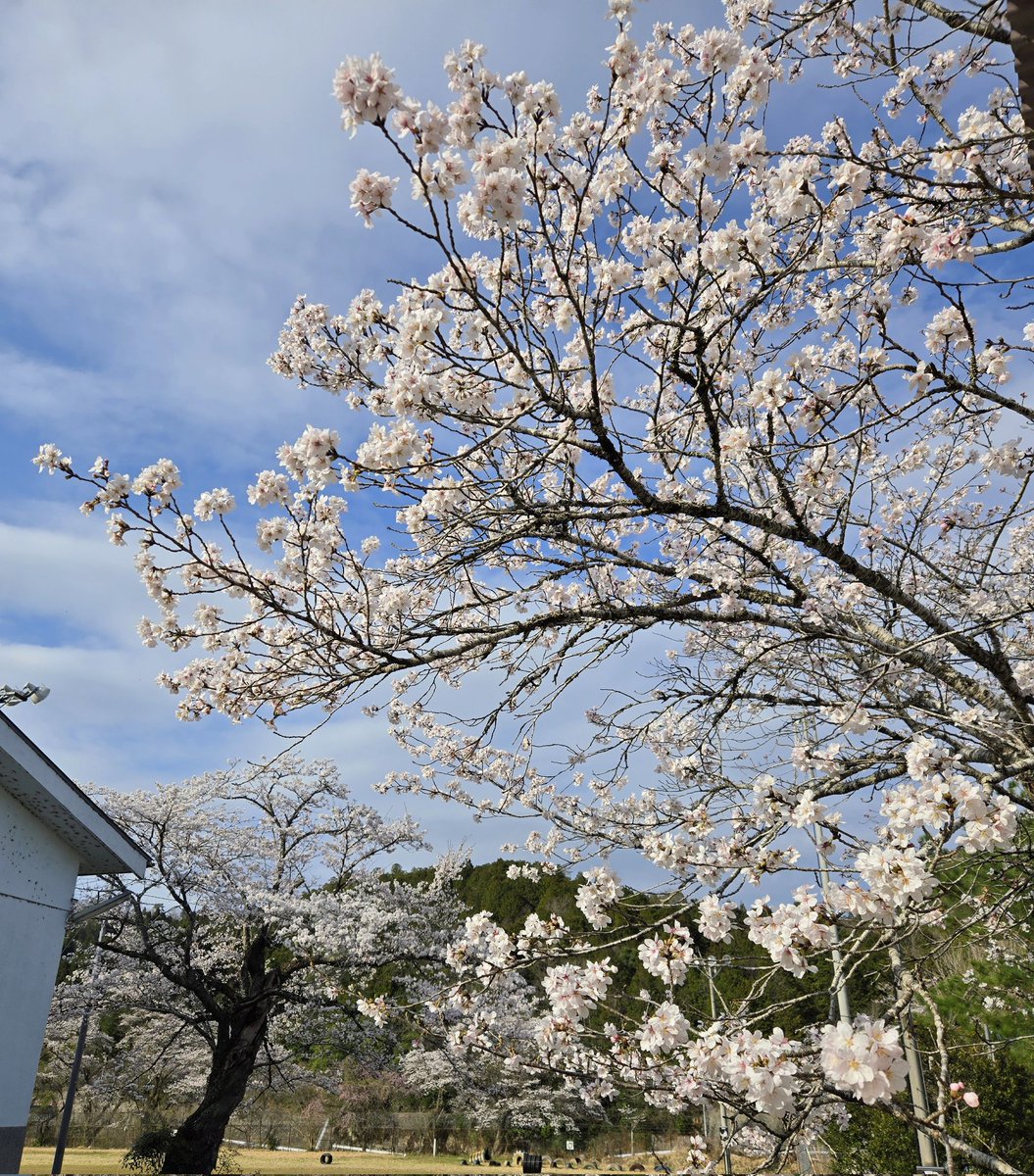 絵本ちゃん tweet media