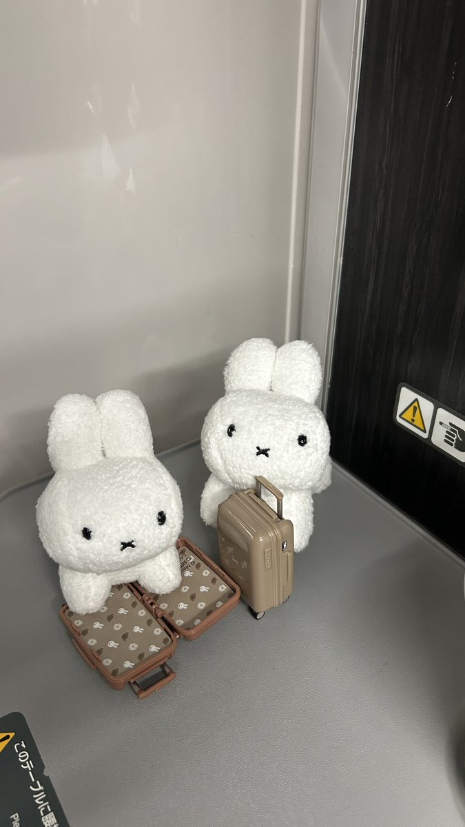 rut_ruby_'s tweet photo. うさぎのいる生活はとても健康にいい…

#ブルーナうさぎ
#miffy
#미피
#ぬい撮り https://t.co/JJFK1fy9po
