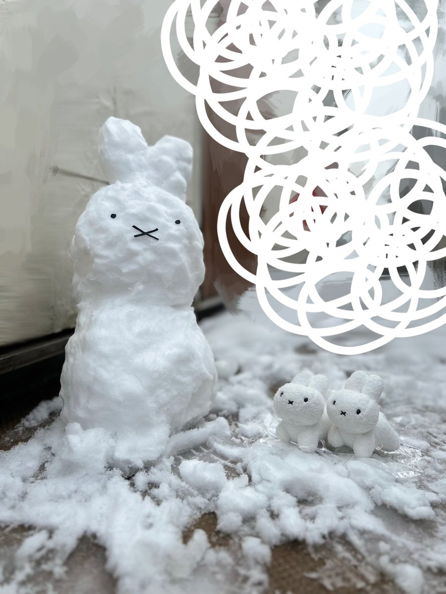 rut_ruby_'s tweet photo. うさぎのいる生活はとても健康にいい…

#ブルーナうさぎ
#miffy
#미피
#ぬい撮り https://t.co/JJFK1fy9po