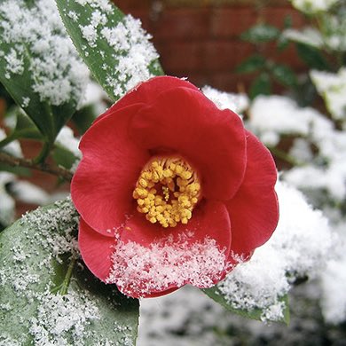 busy Bear tweet media