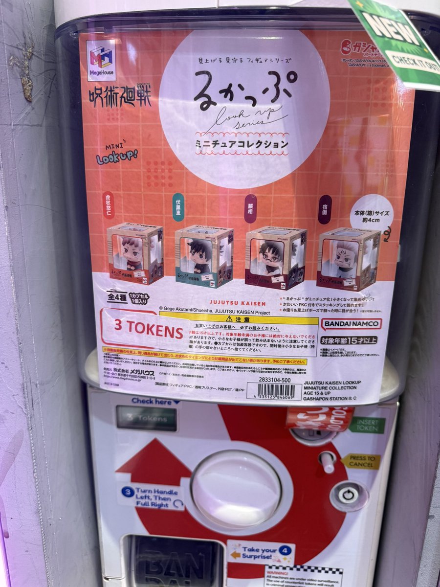 「 Zhen 」OPEN PERSOD 📌 (ment aft dm) tweet media