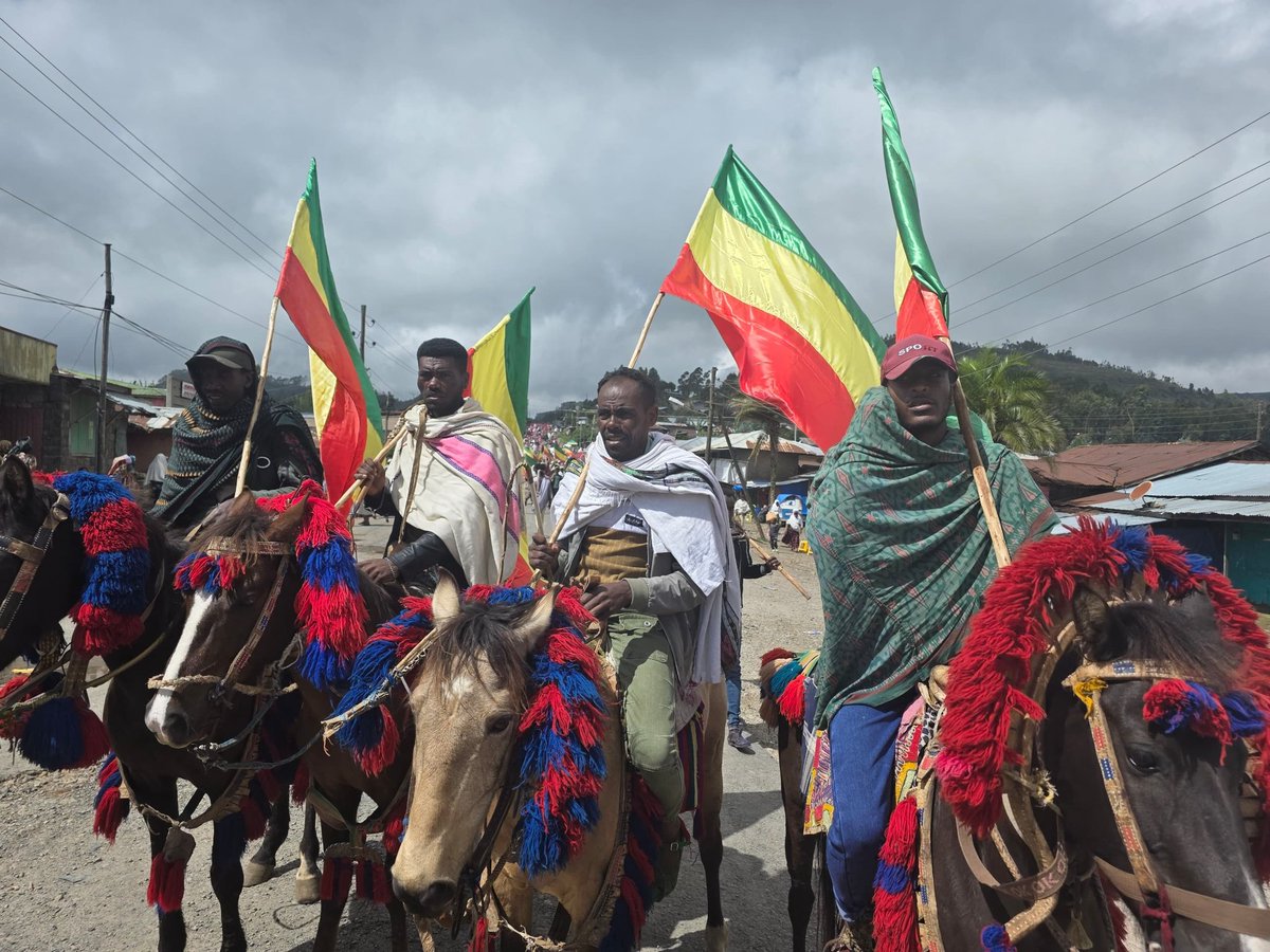 Amhara Fano National Movement - Foreign Affairs tweet media