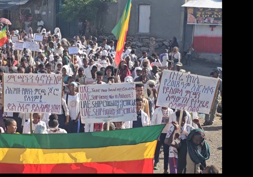 Amhara Fano National Movement - Foreign Affairs tweet media